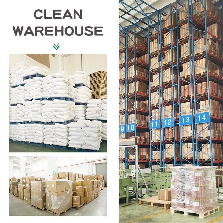Lactobacillus-rhamnosus-Powder-warehouse-4