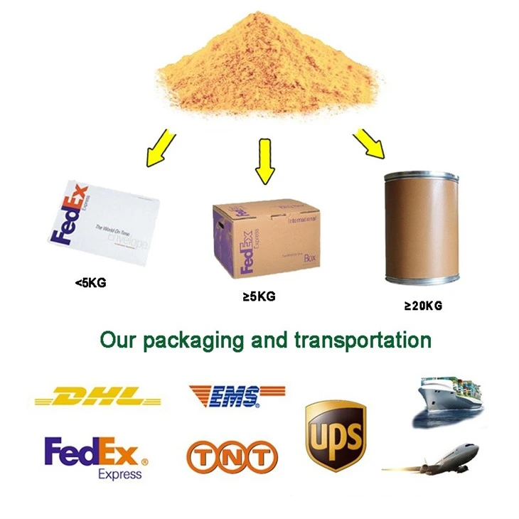 Bacillus Subtilis Probiotics Powder high quality