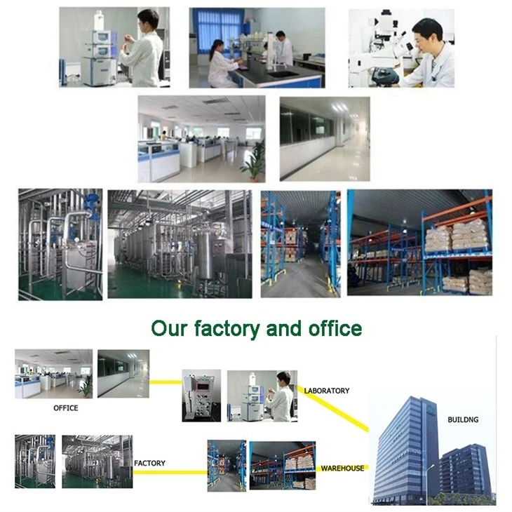 Bacillus Subtilis Probiotics Powder factory