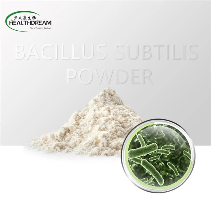 Bacillus Subtilis Probiotics Hmoov