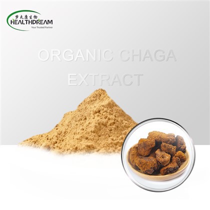 Organic Chaga Extract [Fruiting Body]